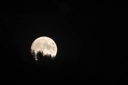 F09A5905_DxO