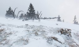 La_Croix_de_Ch_tel