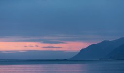 305A6309_DxO