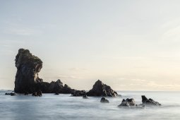 F09A7435