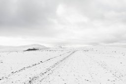 F09A8638