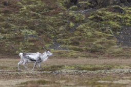 305A6511_DxO