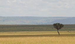 Paysages