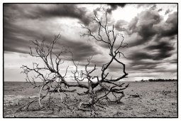 IMG_1348_Modifier