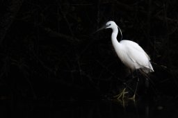 F09A1940_DxO