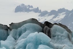 IMG_8739