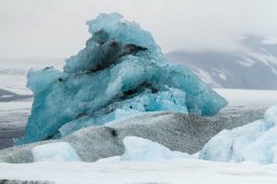 IMG_8949