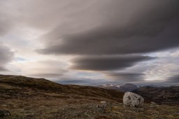 DSC_6642
