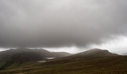 DSC_9501