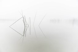 DL2I1347