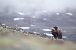 DSC_3228